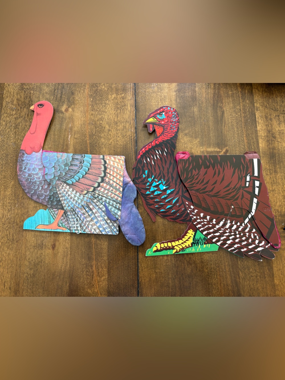 Pair of Decorative Turkey honeycomb in Multicolor and Deep Red